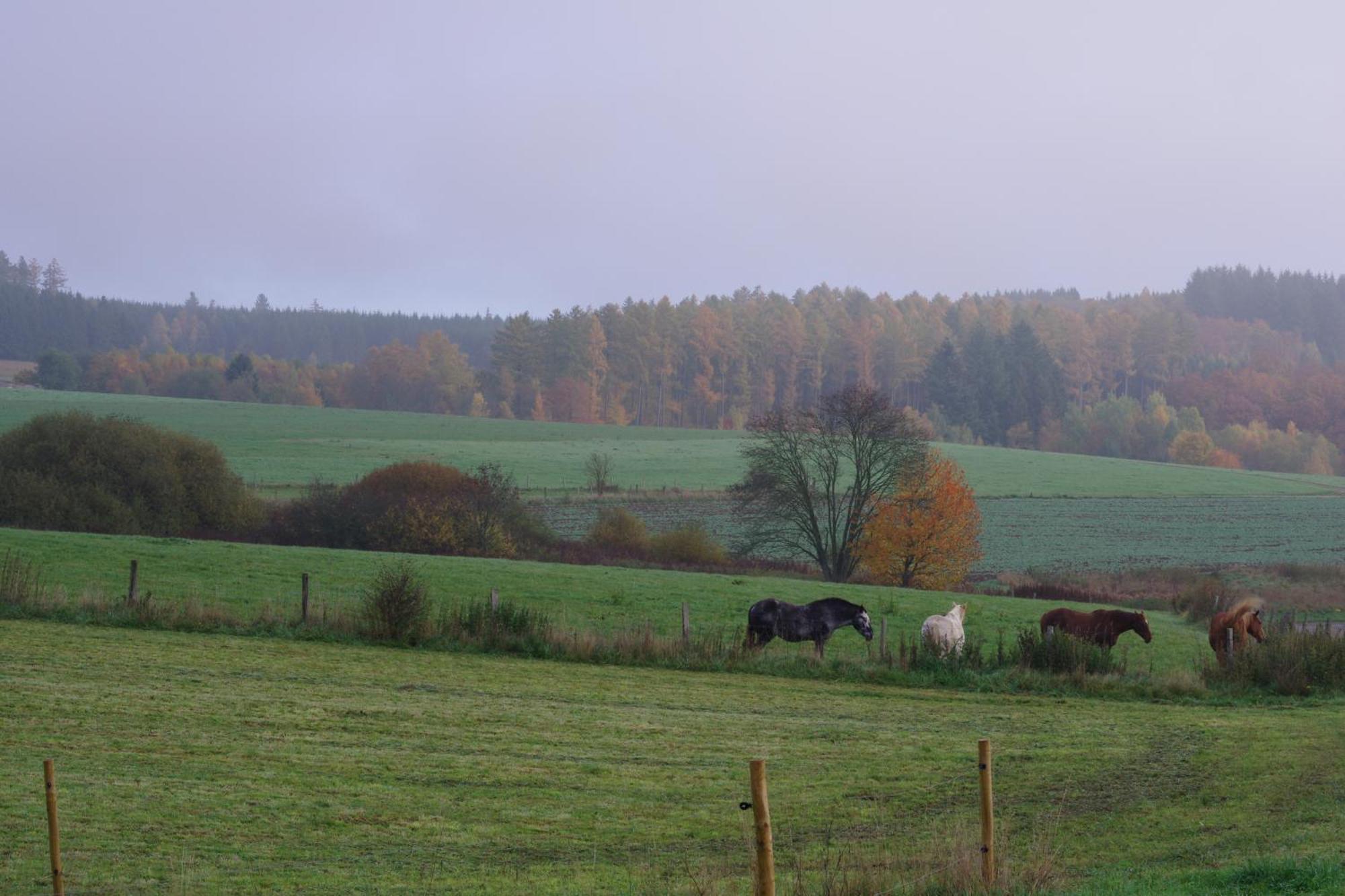 Maison Berton Gedinne Esterno foto